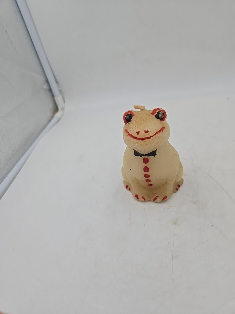 A Candle Of A Frog