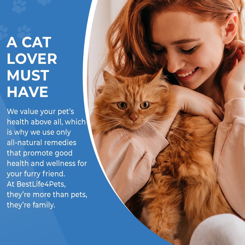 Cat Hyperthyroid Weight Gain Support Natural Feline Thyroid Supplement