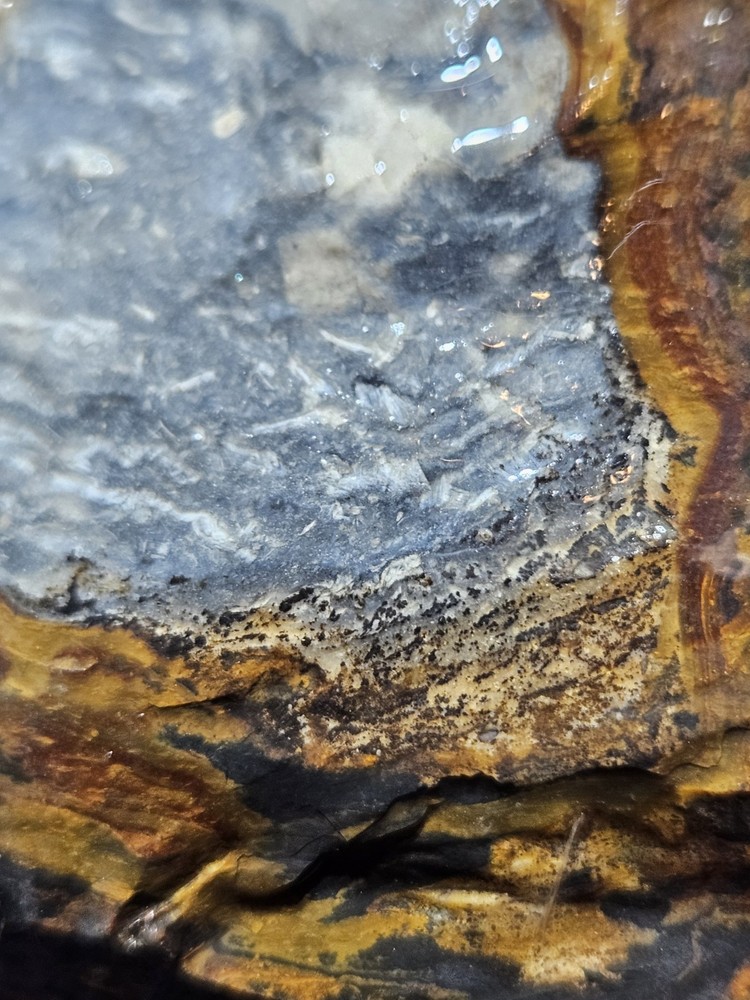 Biggs Jasper Multi Colored w/ Dendric Specimen Natural Form (14oz)
