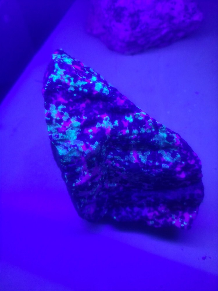 Franklin nj rocks