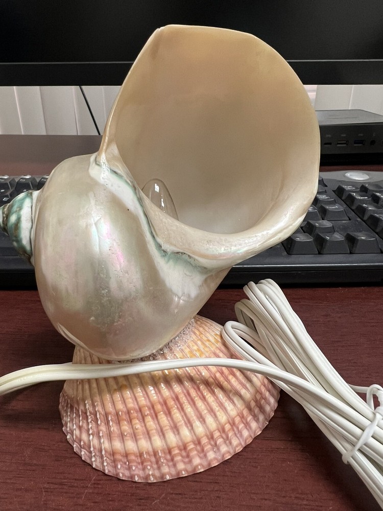 WHITE PEARLIZED TURBO SEA SHELL KITCHEN BATHROOM NIGHTLIGHT NAUTICAL DECOR