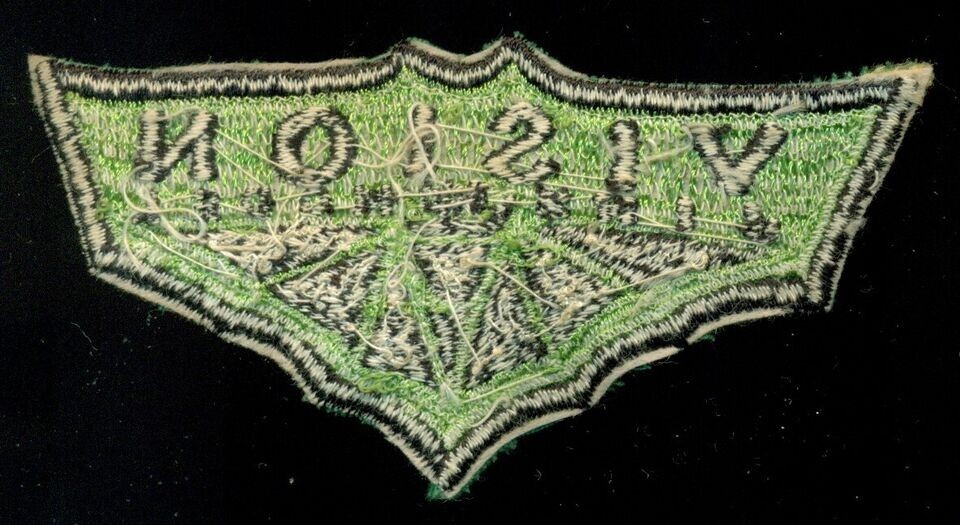 Vision Skateboard Jynx Pro Model Patch SF-1