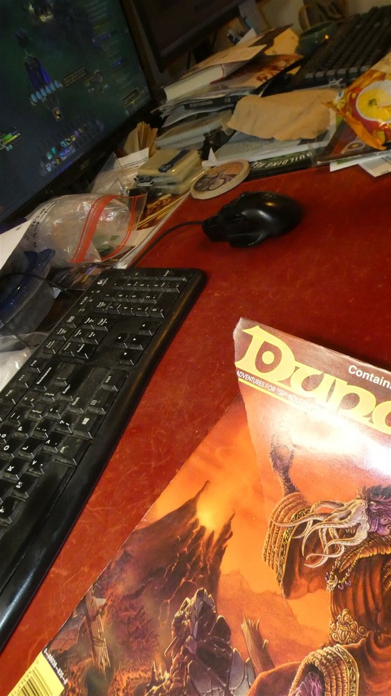 TSR: Dungeon Magazine: Issue 24