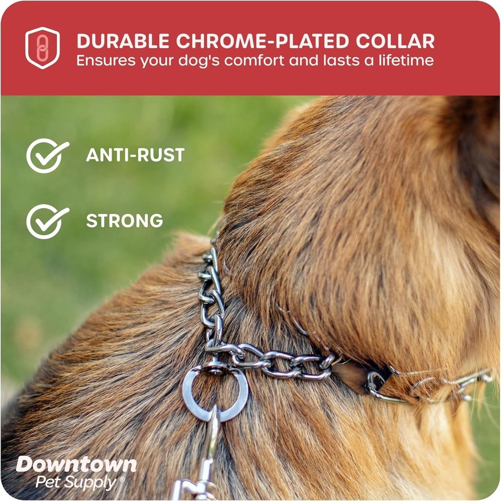 Chrome Plated Adjustable Prong Collar for Dogs 20-40 lbs: No-Pull Training