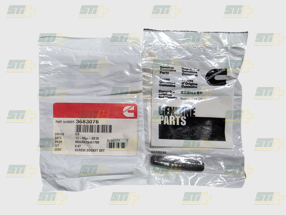 3683076 Cummins Socket Set Screw (2 Pack)