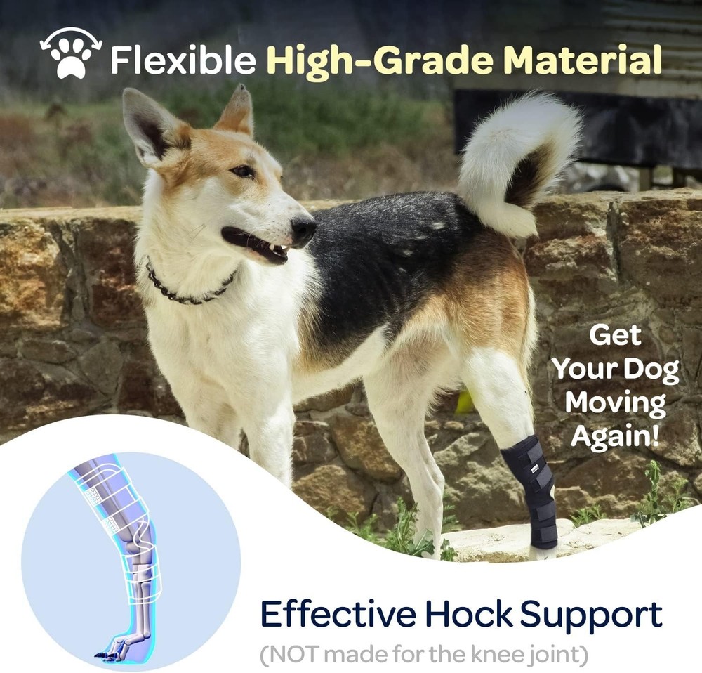 Protective Compression Wrap for Dog Hock Joint - Relief for Arthritis & Injuries