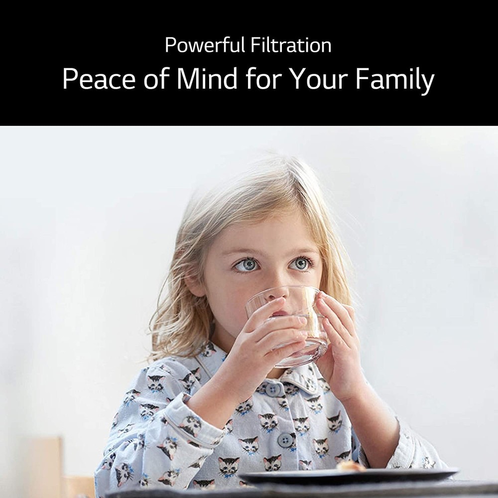 2 Pack Black New L-G LT700P ADQ36006101 Fit kenmore 9690 Water Filter