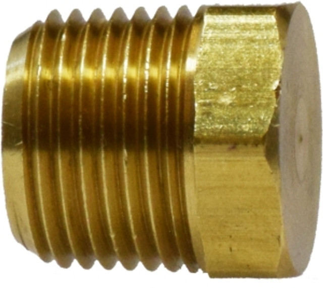 Pipe Cored Hex Plug, 1/4" MIP, Brass 28202
