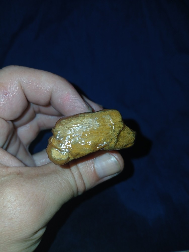 4.5 oz Agatized Petrified Wood