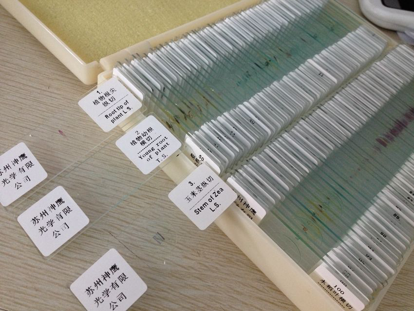100PCS Educational Specimen Lab Biological Prepared Glass Microscope Slides