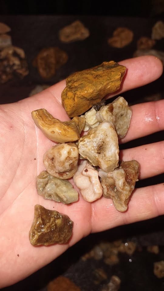 Box stuffed with rough Crowley ridge agates, smith mountain Jaspers etc