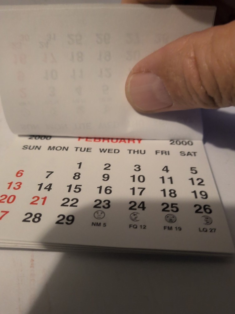 Vintage 1999 - 2000 Mini Calendar