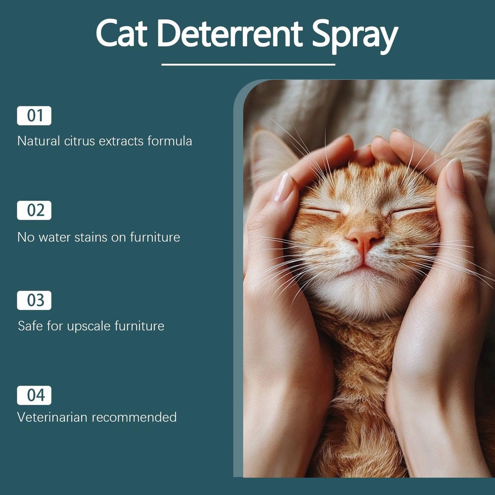 Cat Scratch Spray 100ml Carpet Protector Keep Off Cat Spray for Home