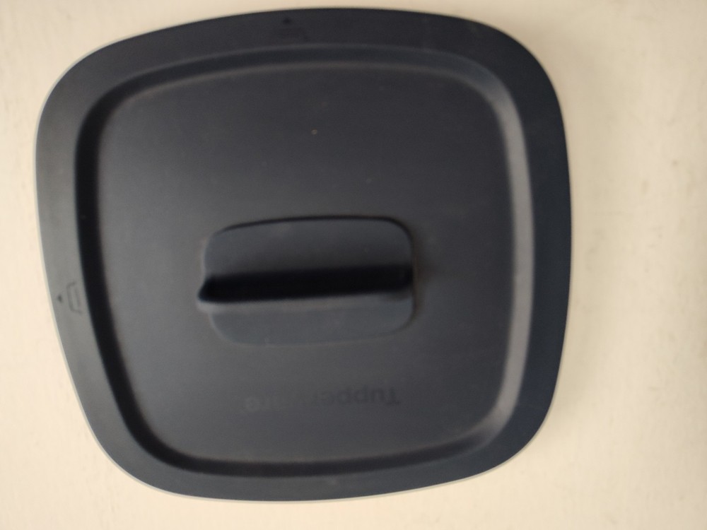 Tupperware MicroPro Grill Micro Pro Series Microwave Grilling Base & Lid Cooking