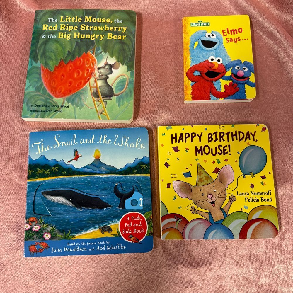 Bundle of 4 Board Books
