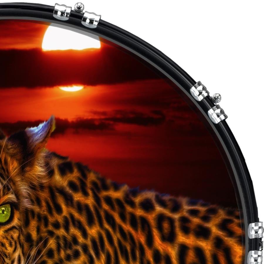 20" Custom Bass Kick Drum Front Head Graphic Graphical Sunset Leopard