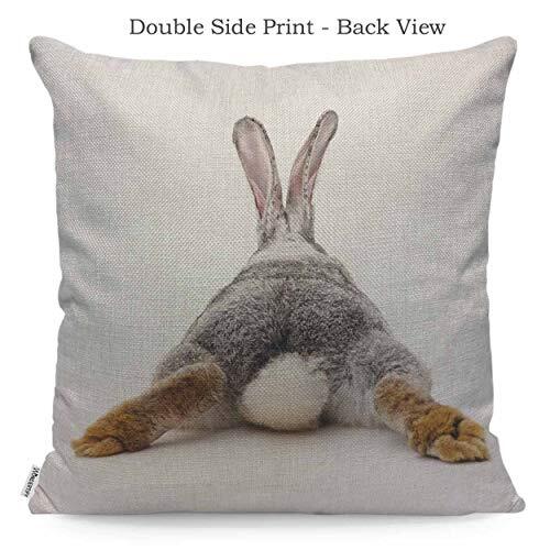 WONDERTIFY Throw Pillow Case Cover Grey Rabbit Isolated on A White Multi 93