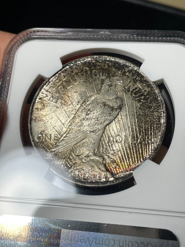 1923 NGC MS64 Peace Silver Dollar Toned Nice Color
