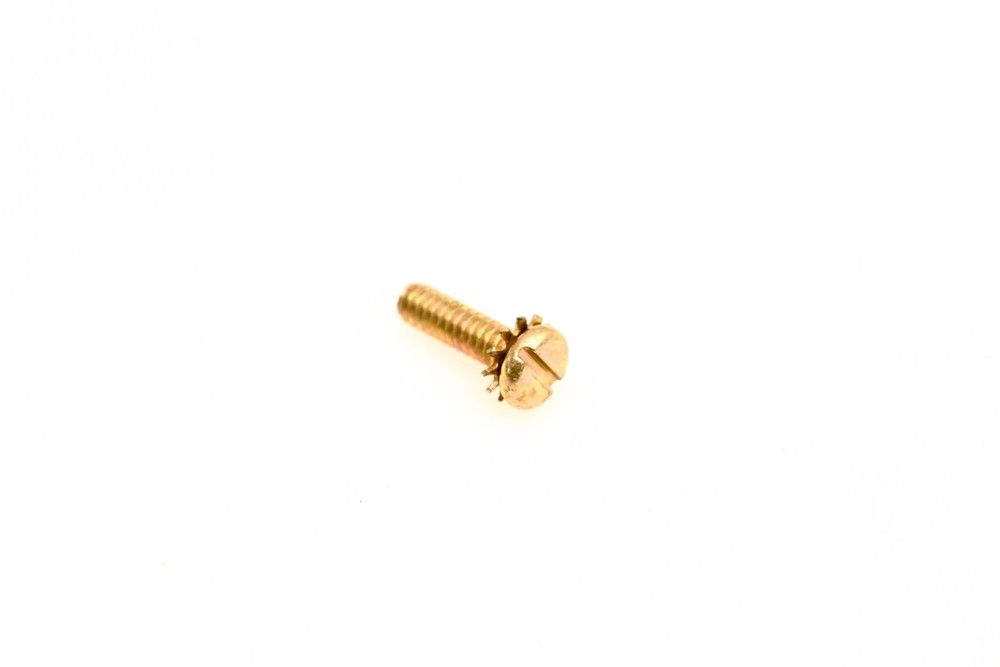 OMC 307195 Screw & Lock Washer NOS