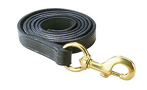 Perri's Leather Lead with Brass Snap