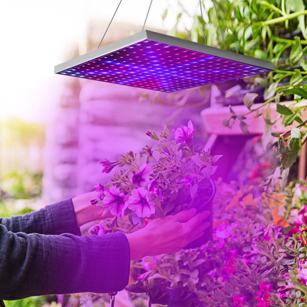 8900W LED Grow Light 3×3FT Coverage Dual Switch Full Spectrum Grow Lamp Plants
