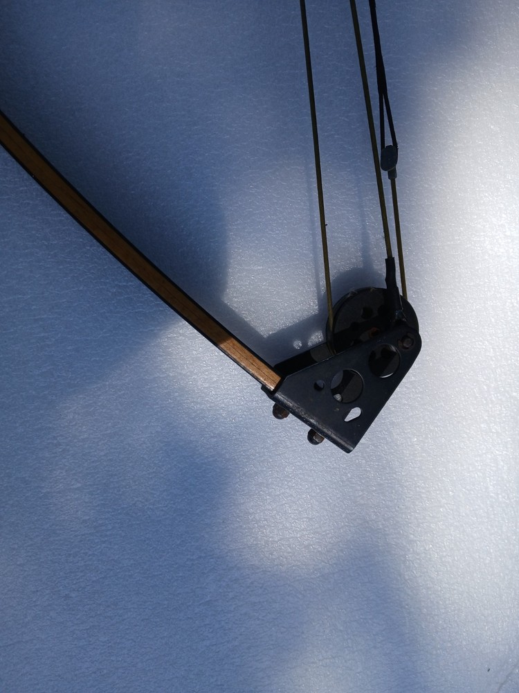 Darton Trailmaster Compound Bow