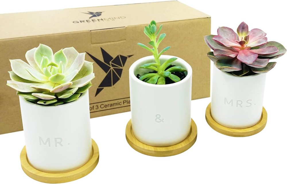 Mr and Mrs Planter Set 3pc Wedding Gift Decorative Flower Pot Set