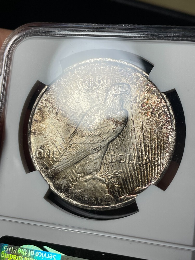 1923 NGC MS64 Peace Silver Dollar Toned Nice Color