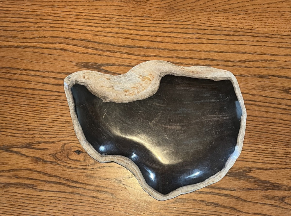 Trinket Tray, possibly "petrified wood"