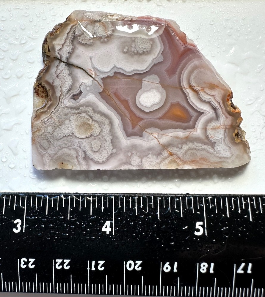 Laguna Agate Slab, 33grams, Cabbing/Lapidary