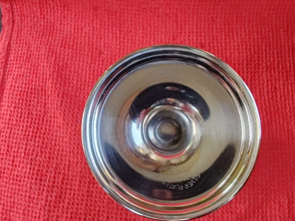 Silver Plate Goblet, By Cavalier