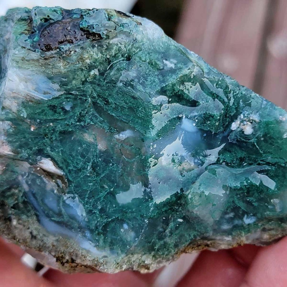 Random Pull India Tree Agate Tumbling Trimmer Rough!