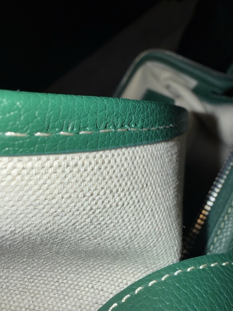 New Goyard Cisalpin Backpack Green
