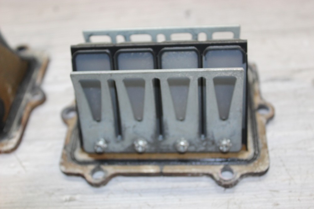 2000 Polaris Rmk 500 Reed Block Set Pair