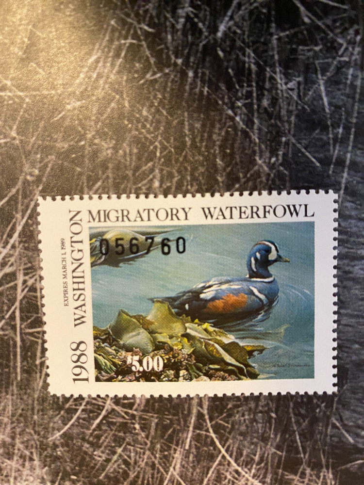 1988 Washington State Duck Stamp,