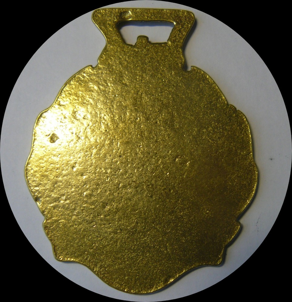 ROYAL ENGINEERS Horse brass (N596)