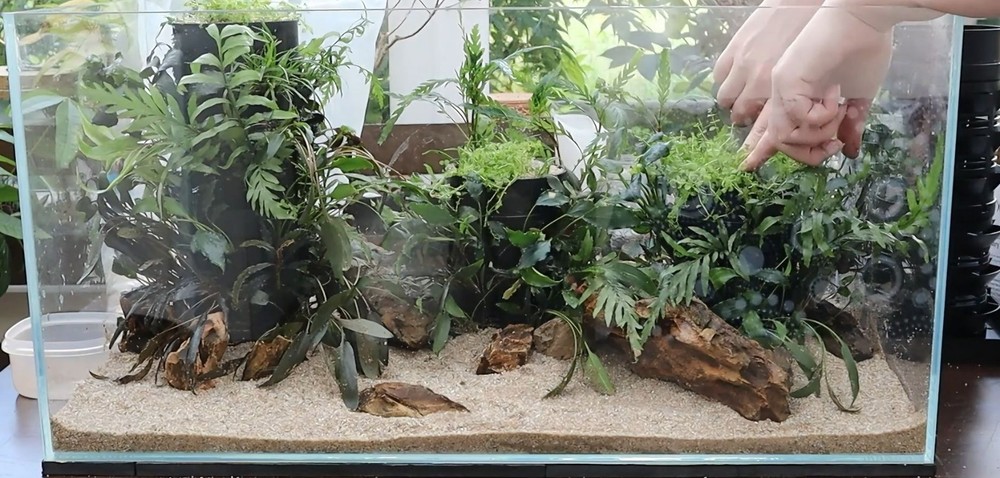Modular Planter for Planted Tanks | TRIO Modular System (3 Tier Unit)