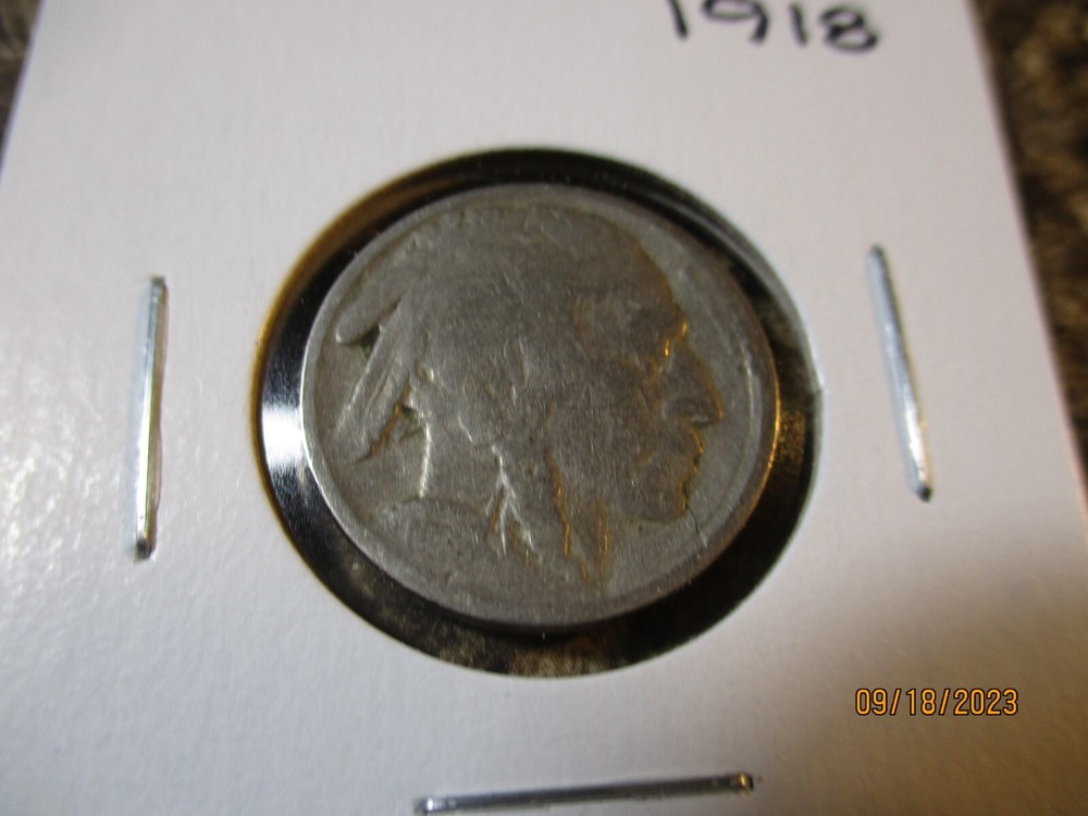 1918 BUFFALO NICKEL    56