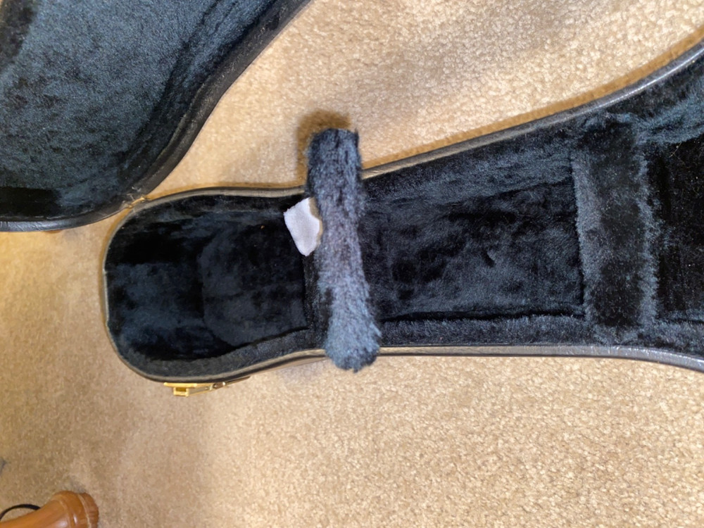 COOL DECOUPAGED PLUSH LINED HARD-SHELL GUITAR CASE HSC