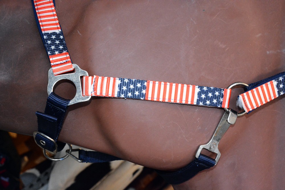 Hilason 1 Inch Iron Sheet Fitting And Fully Adjustable Halter US Flag Polyester