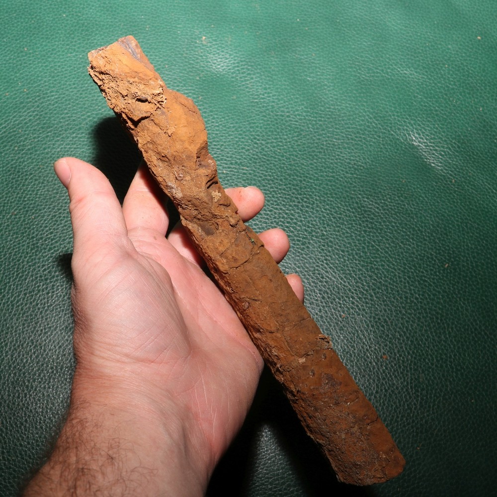 Nice DINOSAUR RIB Section - Authentic Fossil Hell Creek Formation Specimen