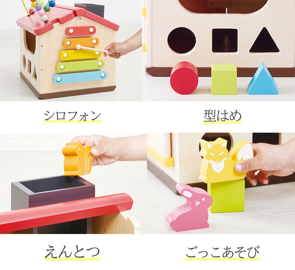 Forest Adventure House