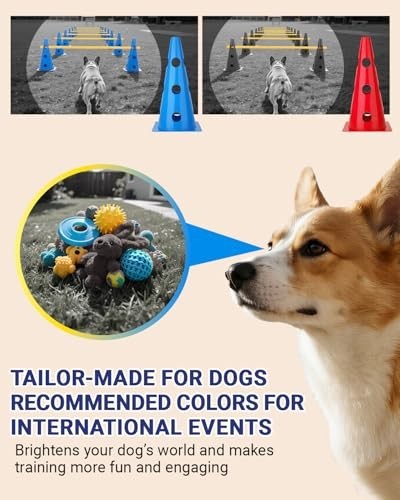 Backyard Dog Agility Course Set - Adjustable Hurdle & Cone Equipment for Trainin