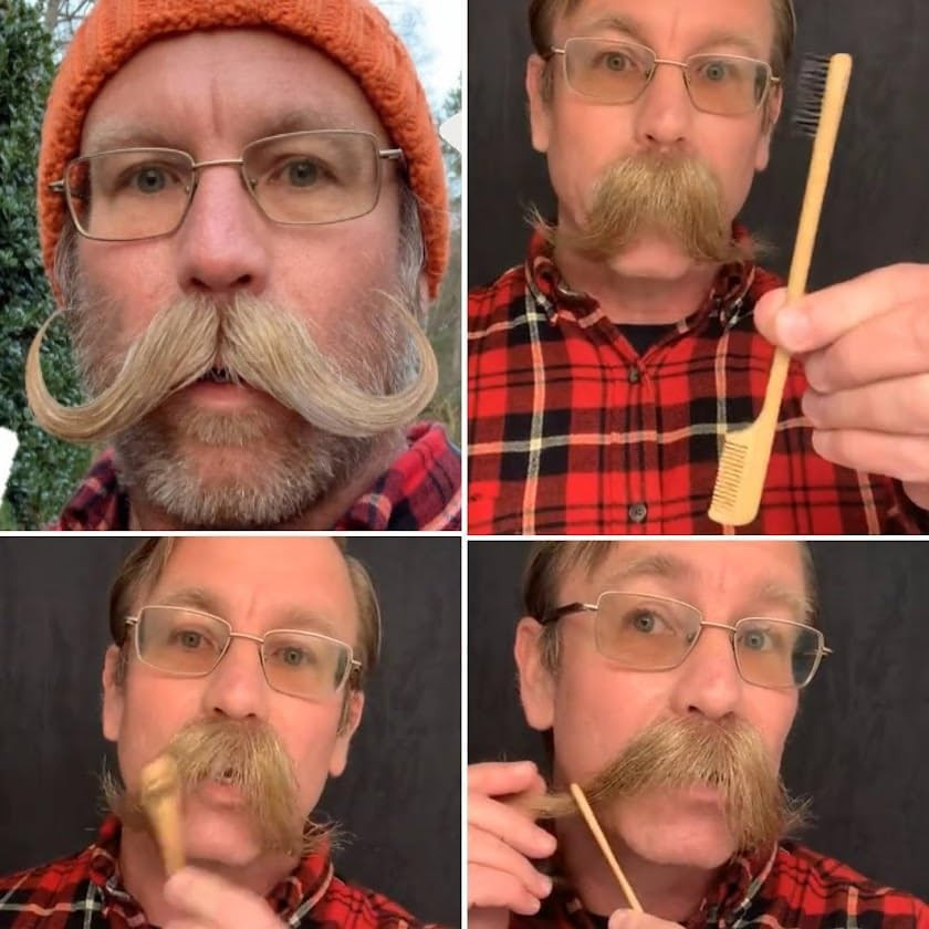 2-In-1 Sapling Mustache Brush & Comb (2-Pack) from - Boar Bristle & Bamboo