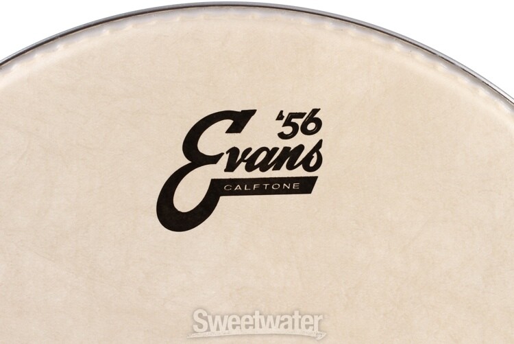 Evans Calftone Drumhead - 13"