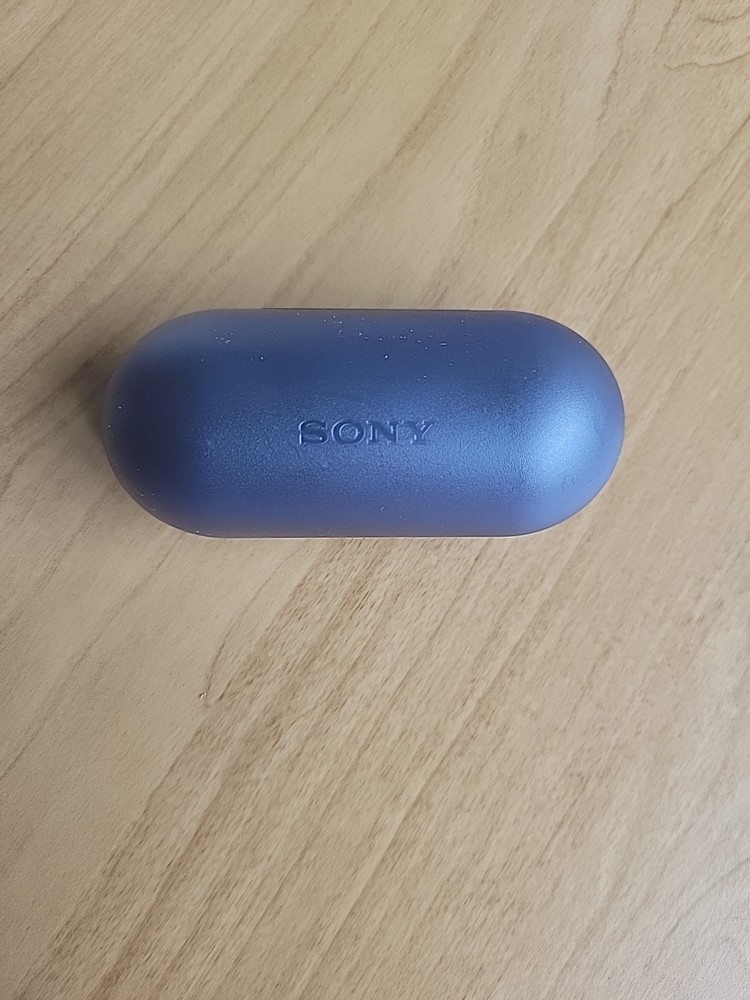 Sony W500 Rechargeable Case