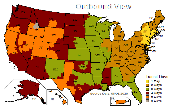 1000 LIVE 3/4" sized banded crickets. Medium/Large.