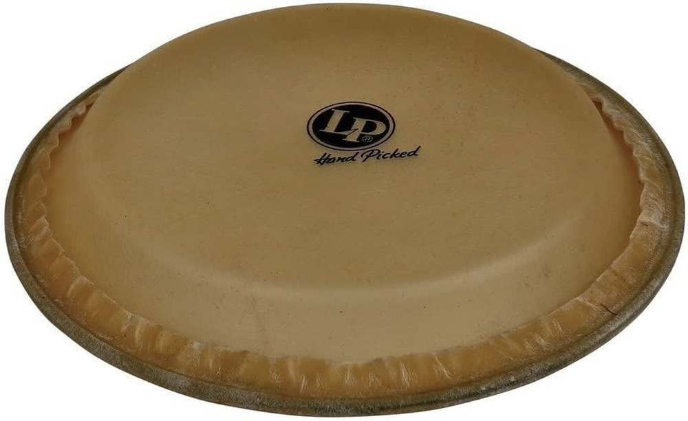 LP265A 11-Inch Rawhide Quinto Head