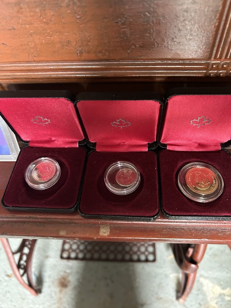 Canada $1 Uncirculated Dollar Coins in Maple Leaf Display Cases