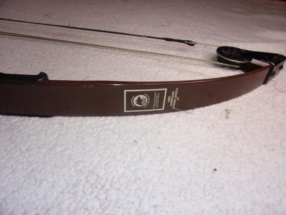 Bear Blacktail Hunter Compound